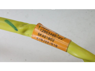 Zpětné zrcátko  levé Renault Captur 2019  12863480, 11PIN  