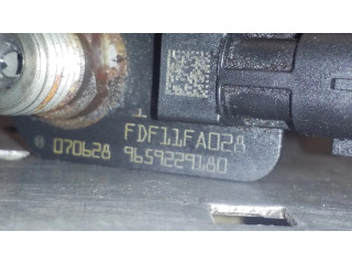 Vstřikovač 9659229180, 0445115042   Land Rover Freelander 2 - LR2  pro naftový motor 2.2  