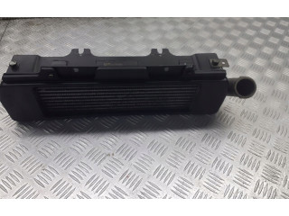 Интеркулер  279714600102   Tata Indica Vista II 