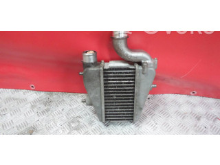 Интеркулер  N22A2, 226829   Honda Civic 