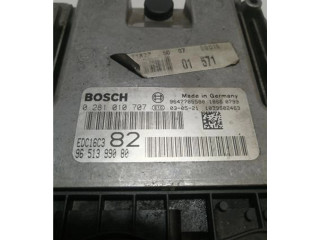 Vstřikovací čerpadlo 9651399080, 0281010707   Peugeot 206    DV4TD(8HX) 