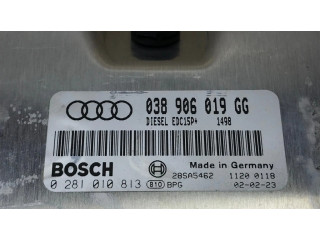 Комплект блоков управления 038906019GG, 0281010813   Audi A4 S4 B6 8E 8H