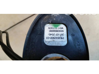 Pojistková skříňka Замок раздвижная дверь    Peugeot 307 2008