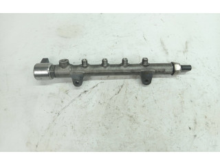 Vstřikovací lišta A6510700495, 1208640849   Mercedes-Benz E W212     
