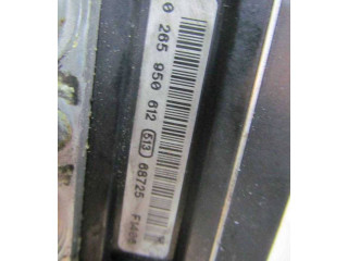 Jednotka ABS 0265950612, 7424   Hyundai Sonata 2006