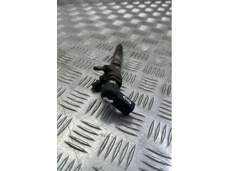 Vstřikovač 166006212R   Renault Megane IV    K9K656 
