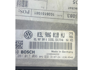 Řídící jednotka 03L906018HJ, 03L907309Q   Volkswagen Sharan 2012