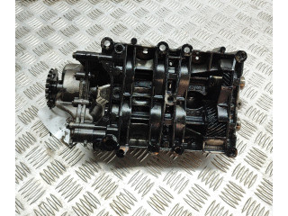 Čerpadlo oleje 9636898380, 9636898580   Land Rover Range Rover Evoque L538   224DT