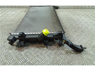 Комплект радиатора 214100004R, H9488    Renault Laguna III