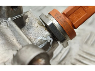 Топливная рампа 3328342, 0261545051   Volkswagen Tiguan   для двигателя Cav