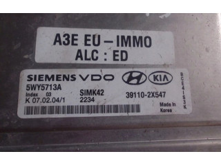Řídící jednotka 5WY5713A   KIA Rio 2004