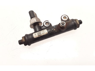 Vstřikovač 4R8Q9C066AE, 4R8Q9C066   Citroen C6    UHZ 