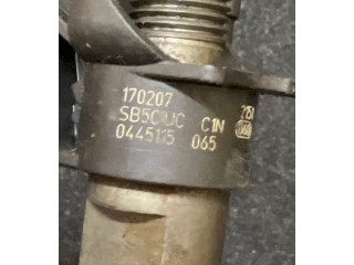 Vstřikovač 0445115065, 170207   Mercedes-Benz GL X164     