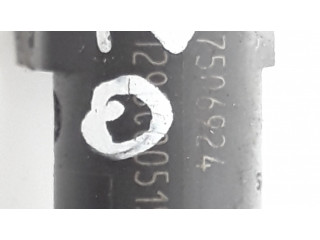 Форсунка 7506924    BMW 7 E65 E66 для бензинового двигателя  4.5