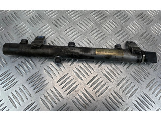 Vstřikovací lišta A6420702595, 0822200202   Mercedes-Benz CLS C219    642.920 