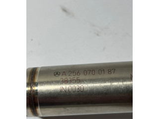Форсунка A2560700187, 38355    Mercedes-Benz GLS X166  M 157.982 