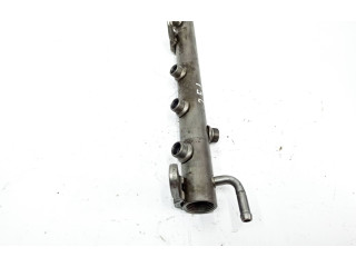 Vstřikovací lišta A6420702595, 1134903   Mercedes-Benz R W251    642872 