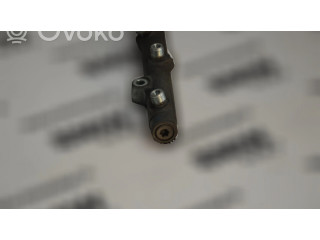Vstřikovací lišta 0445216002   BMW 5 E39  pro naftový motor 3.0 M57 D30 (306D1) 530 d