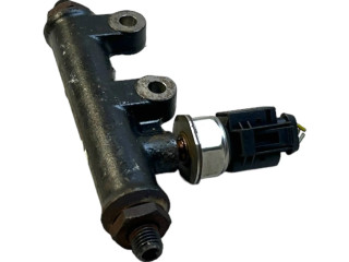 Vstřikovací lišta 4R8Q9C066AE, 5WS40128   Jaguar S-Type  pro naftový motor 2.7  