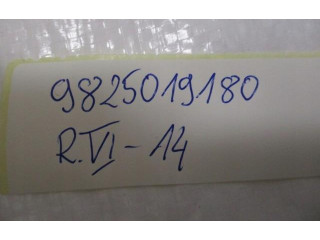 Vstřikovač 9825019180   Peugeot 2008 II     