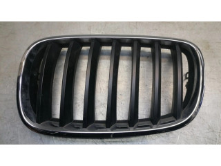 Передняя решётка BMW X5 E70 2006-2013 года 51317157687      