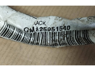 Zpětné zrcátko  Cadillac CTS 2012  25951540  
