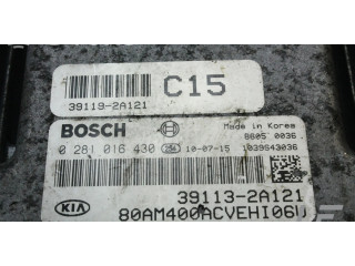 Řídící jednotka 0281016430, 391132A121   KIA Soul 2011
