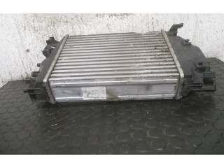 Интеркулер  144614EA1A, M166253A   Renault Kadjar 