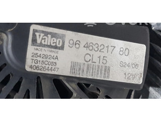 Zpětné zrcátko  Peugeot 206+   9646321780  