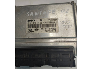 Řídící jednotka 3910127250, 66SMI014   Hyundai Santa Fe 2003