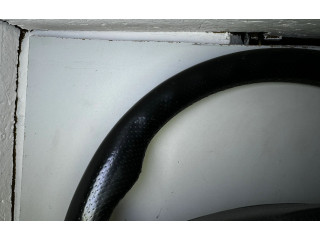 Volant Opel Zafira A 2000 24462905, 13116880  