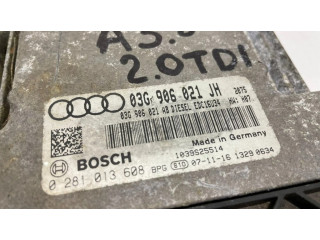 Блок управления двигателя 03G906021JH   Audi A3 S3 A3 Sportback 8P