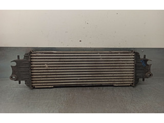 Píst 1449600Q0A   Nissan Primastar    F9QU762 