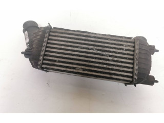 Интеркулер  1440094280, E5542007   Peugeot Expert 