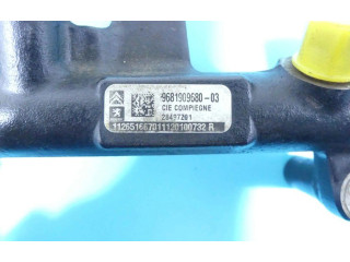 Vstřikovací lišta 6981909680-03, IMPRK1297055   Peugeot 3008 I     