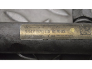 Vstřikovací lišta A6420700295, A6110780449   Mercedes-Benz S W221     