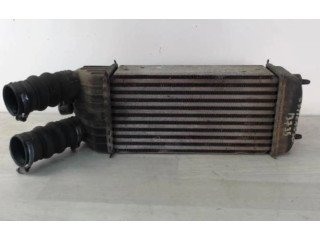 Vstřikovač 00000384N1, 00000384N1   Citroen C3 Picasso    DV6ATED4(9HX) 