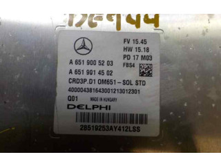 Řídící jednotka A6519005203, A6519005203   Mercedes-Benz C W205 2018