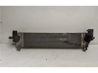 Интеркулер  14461bb30a, 14461BB30A   Nissan Qashqai 