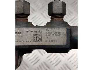 Vstřikovací lišta 9654592680, 9654590   Mazda 3 I     