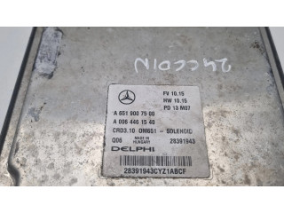 Řídící jednotka A6519007500, 6519007500   Mercedes-Benz C W204 2010
