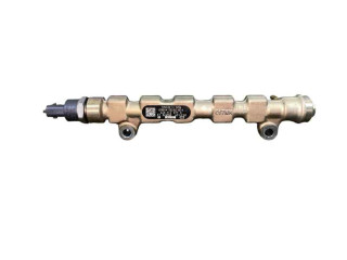 Топливная рампа 8200378703, 8200613066   Renault Vel Satis   для двигателя G9T702