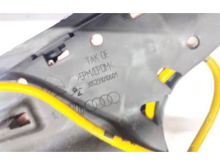 Подушка безопасности в сиденье 305231010001, 305231010001   Audi A6 S6 C6 4F
