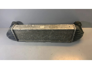 Интеркулер  3421803, 17513421803   BMW X3 E83 3.0