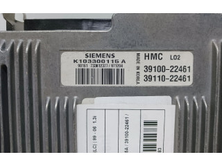 Řídící jednotka Siemens   Hyundai Accent 1998