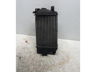 Интеркулер  13283252, 13283252   Opel Meriva B 