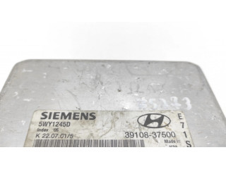 Řídící jednotka 3910837500, 5WY1245D   Hyundai Santa Fe 2002