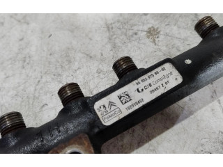 Vstřikovací lišta 9685297580   Citroen C3     