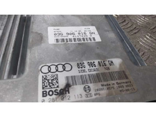 Блок управления двигателя 03G906016GN, 0281012113   Audi A4 Allroad