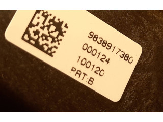 Vstřikovač 9838917380, 9838917380   Peugeot 3008 II     